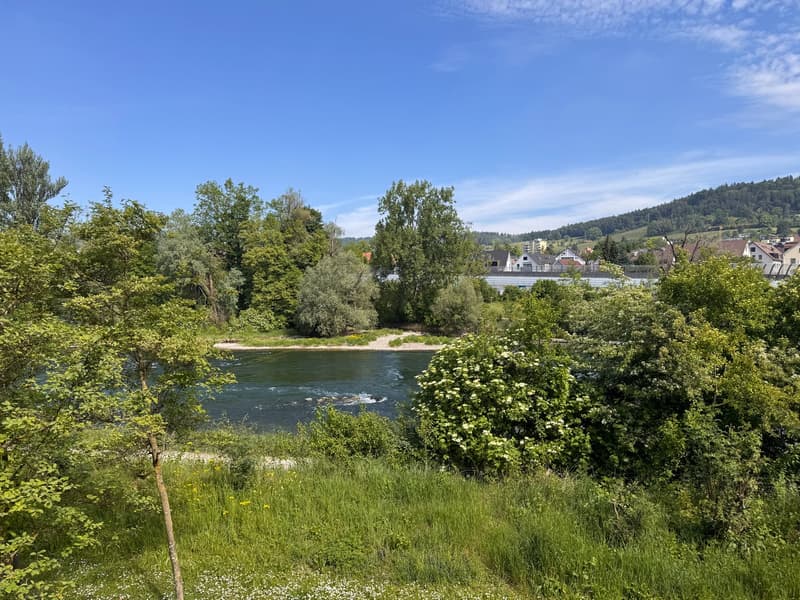 Traumhafter Blick auf die Limmat und Naherholung vor der Haustür (2)