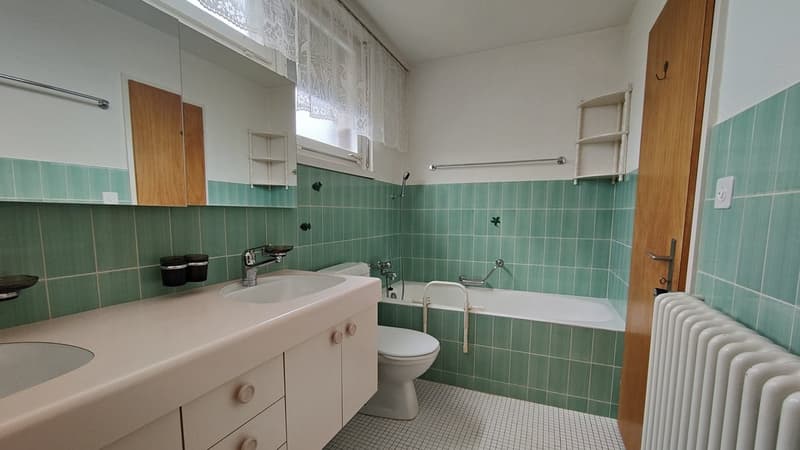 Freistehendes Einfamilienhaus mit Swimmingpool (19)