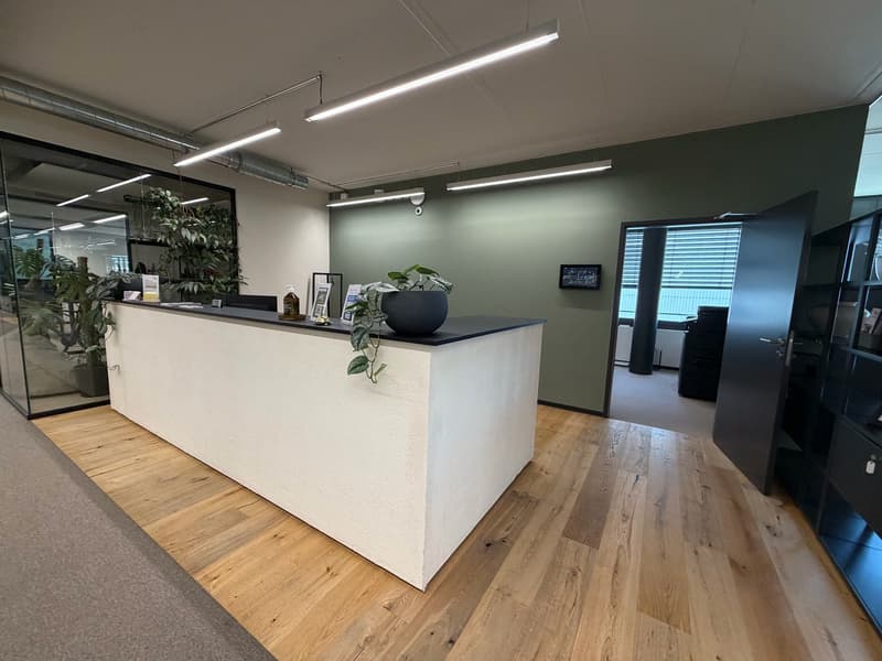 Vollmöblierte Arbeitsplatzlösungen (Open Space) (14)