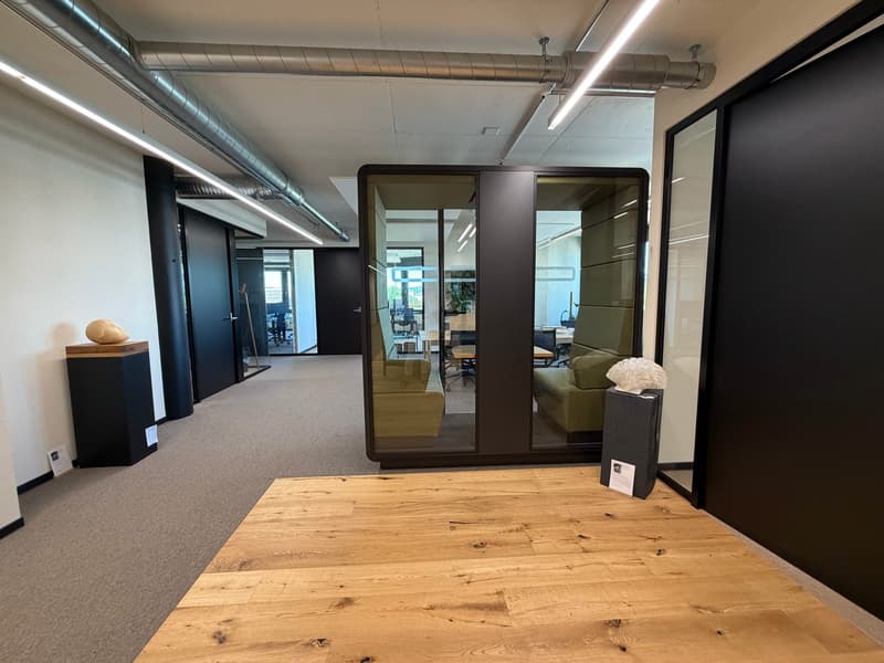 Vollmöblierte Arbeitsplatzlösungen (Open Space) (13)