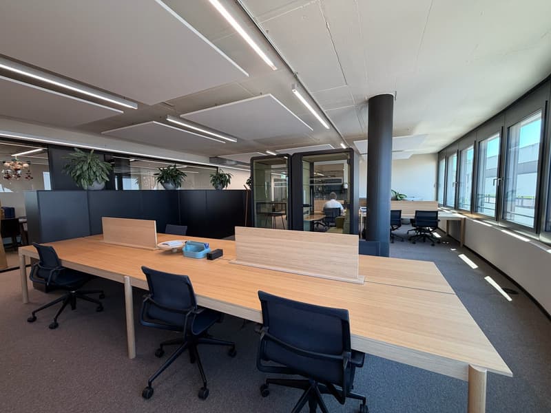 Vollmöblierte Arbeitsplatzlösungen (Open Space) (2)