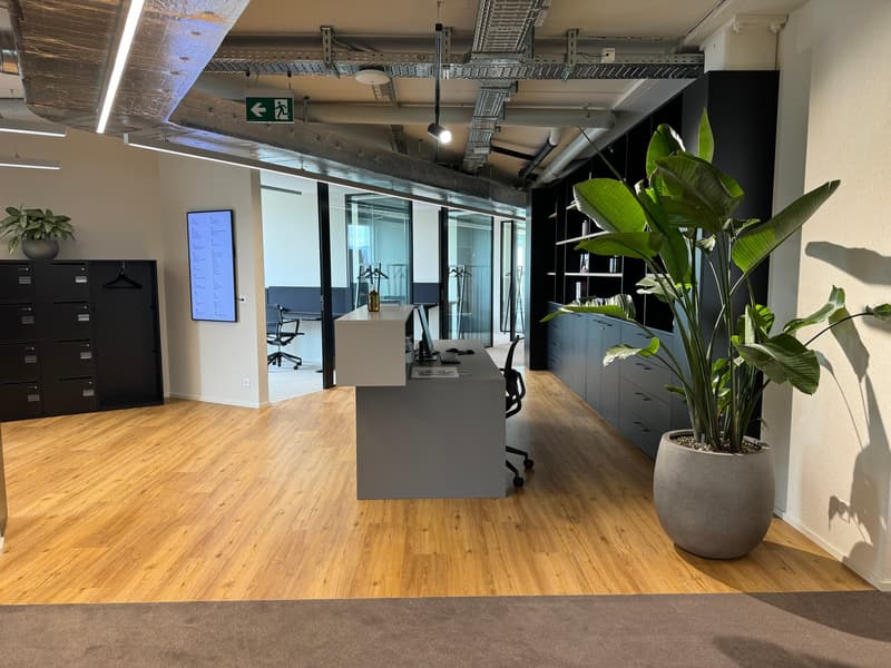 Einzelbüro, vollmöbliert & inkl. Office Management Services (2)