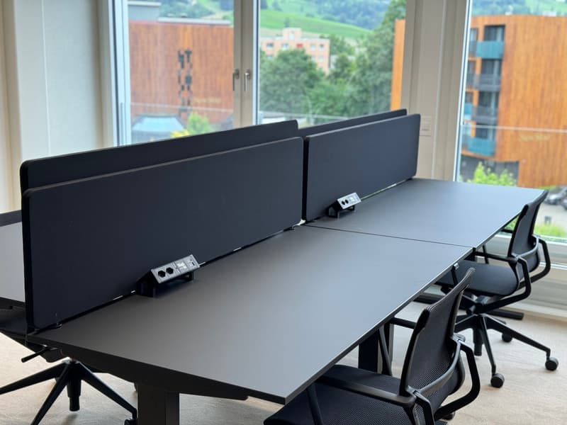 4er Büro (vollmöbliert inkl. Office Management Services) (2)