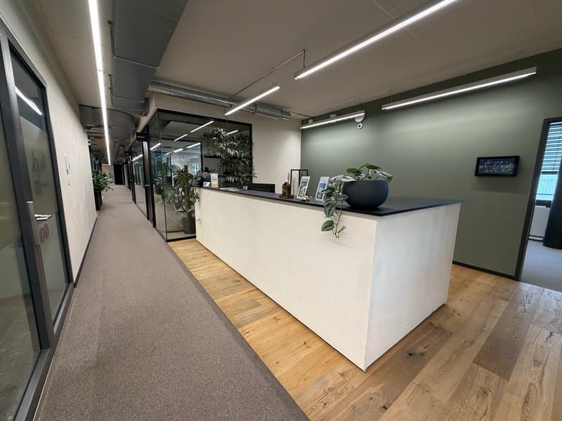 Vollmöbliertes Büro für 4 Arbeitsplätze (All-inclusive Services) (10)