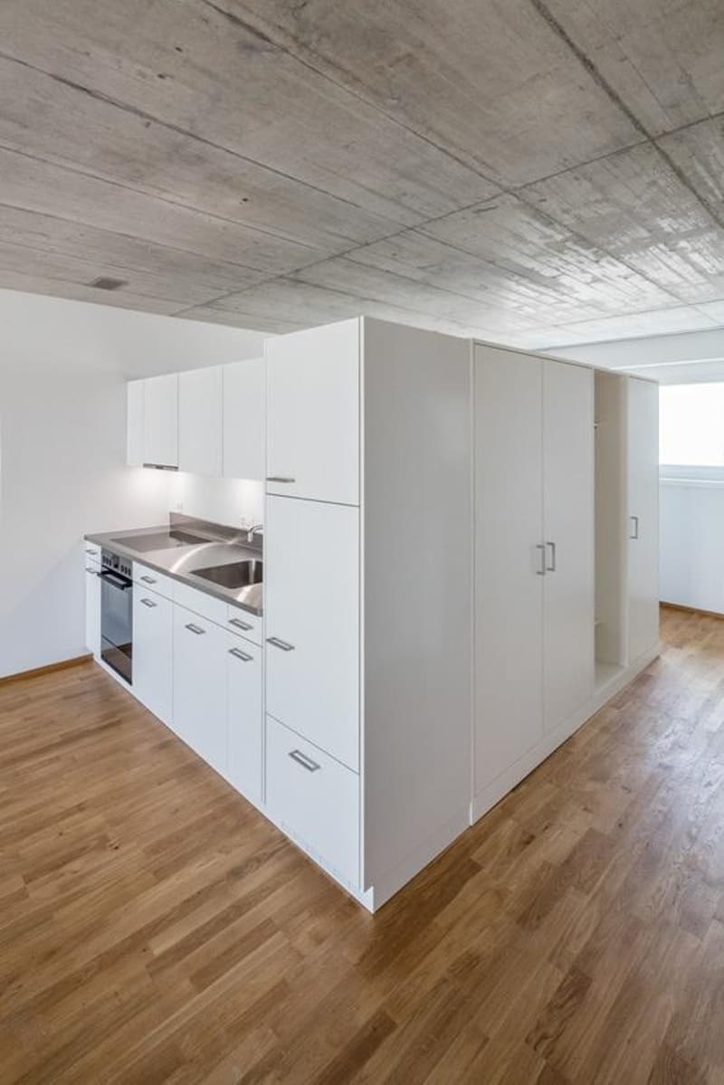 1.5-Zimmerwohnung (3)