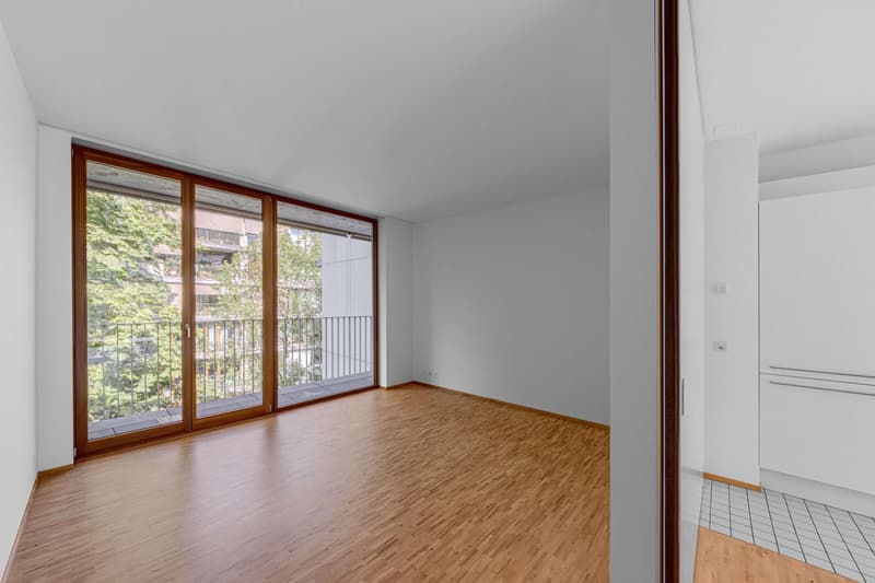 2.5 Zimmerwohnung in Basel (5)