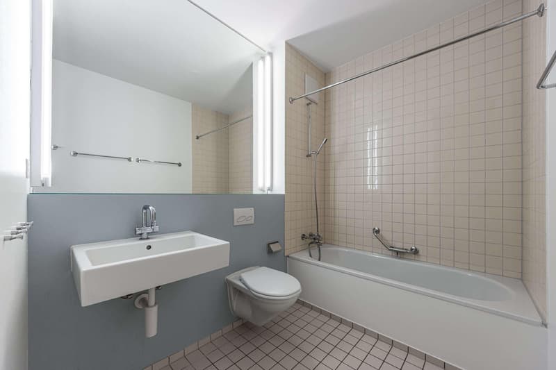 2.5 Zimmerwohnung in Basel (4)
