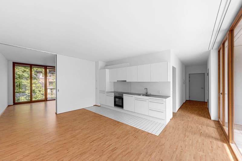 2.5 Zimmerwohnung in Basel (3)