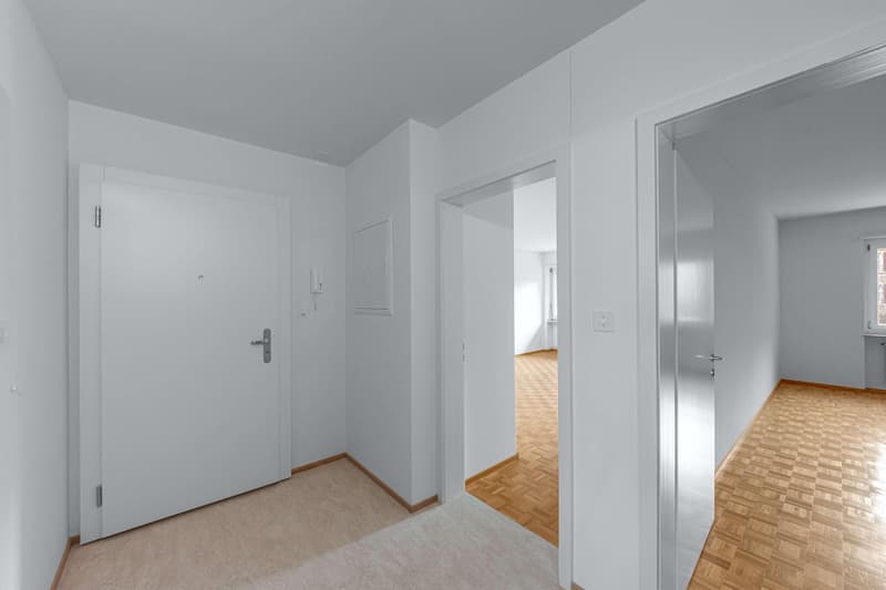 Grosszügige 4.5-Zimmer-Wohnung im Gundeldinger Quartier, in der Nähe vom Bahnhof SBB (10)