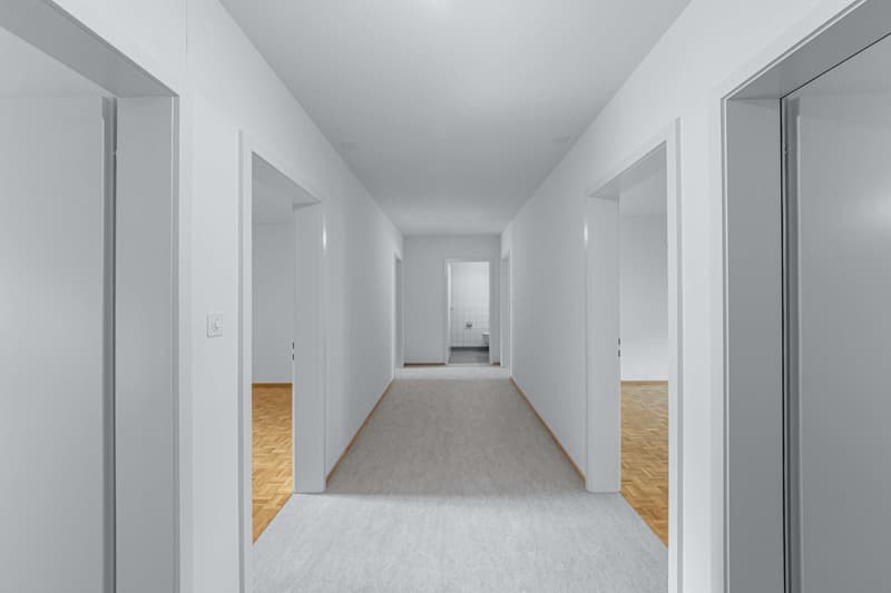 Grosszügige 4.5-Zimmer-Wohnung im Gundeldinger Quartier, in der Nähe vom Bahnhof SBB (11)