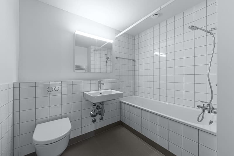 Grosszügige 4.5-Zimmer-Wohnung im Gundeldinger Quartier, in der Nähe vom Bahnhof SBB (3)