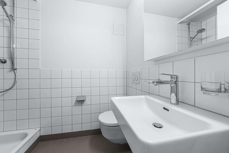 Grosszügige 4.5-Zimmer-Wohnung im Gundeldinger Quartier, in der Nähe vom Bahnhof SBB (4)
