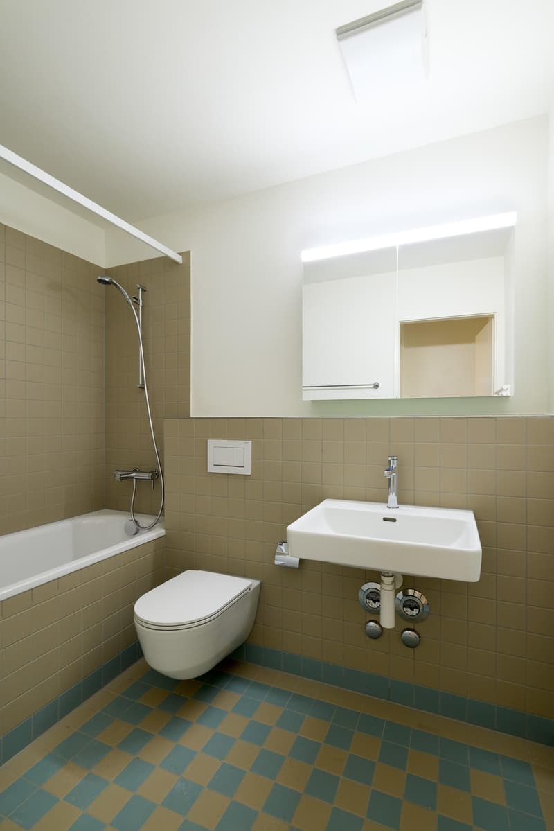 Frisch sanierte 4.5-Zimmer-Wohnungen (5)