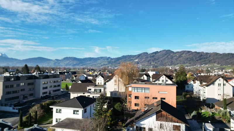 The image shows a panoramic view of a city or town surrounded by mountains. The cityscape consists of a mix of residential and commercial buildings, with a variety of architectural styles and heights. The buildings have a mix of roofing materials, includi