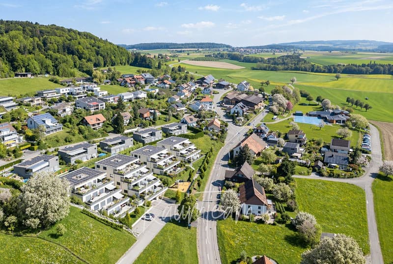 Terrassenwohnung in Herdern kaufen www.raumteam.ch