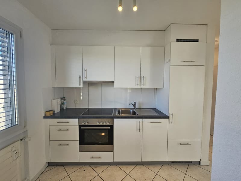 Charmante 2.5-Zimmer-Dachwohnung mit großer Terrasse (5)