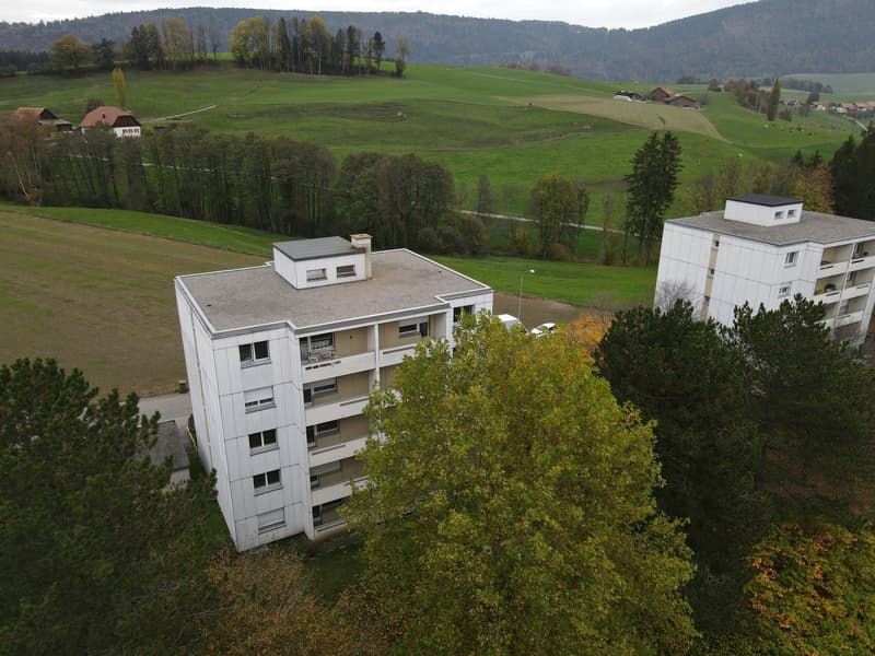 3 ½ Zimmer-Wohnung, 2710 Tavannes (9)