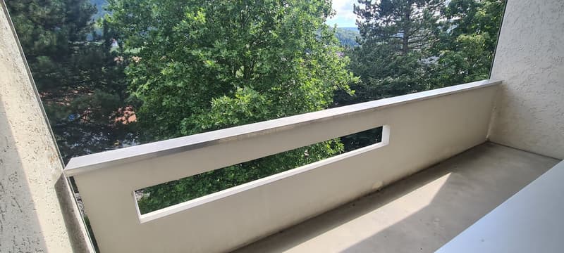 Magnifique appartement de 3.5 pièces avec balcon ! (7)