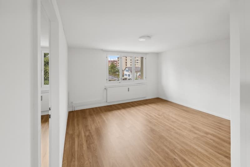 4 Bedroom Apartment, 9100 Herisau (6)