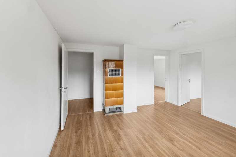 4 Bedroom Apartment, 9100 Herisau (3)