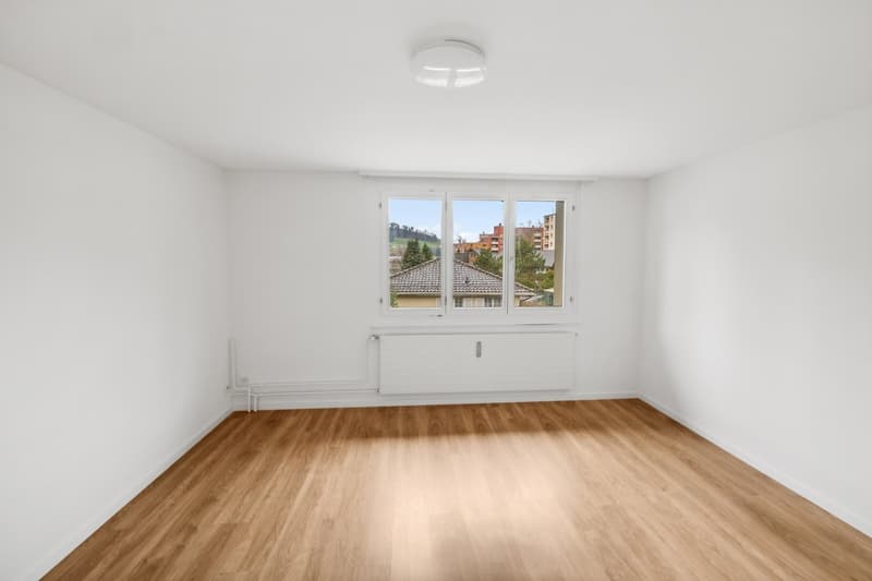 4 Bedroom Apartment, 9100 Herisau (5)