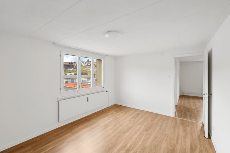 4 Bedroom Apartment, 9100 Herisau (4)
