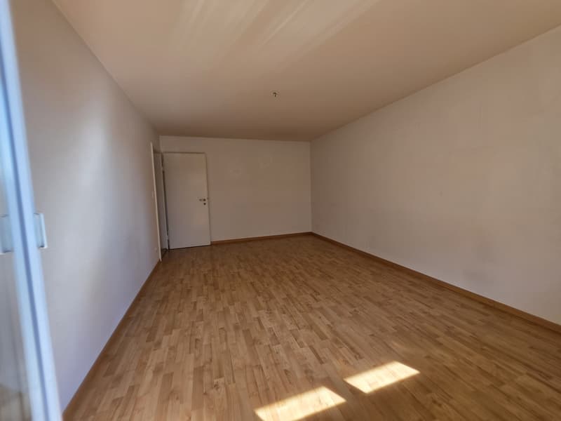 3 Chambres Appartement, 4632 Trimbach (10)