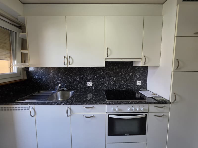 3 Chambres Appartement, 4632 Trimbach (6)