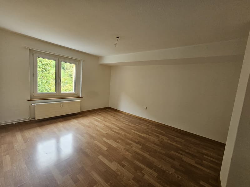 2 ½ room attic apartment, 4437 Waldenburg (9)