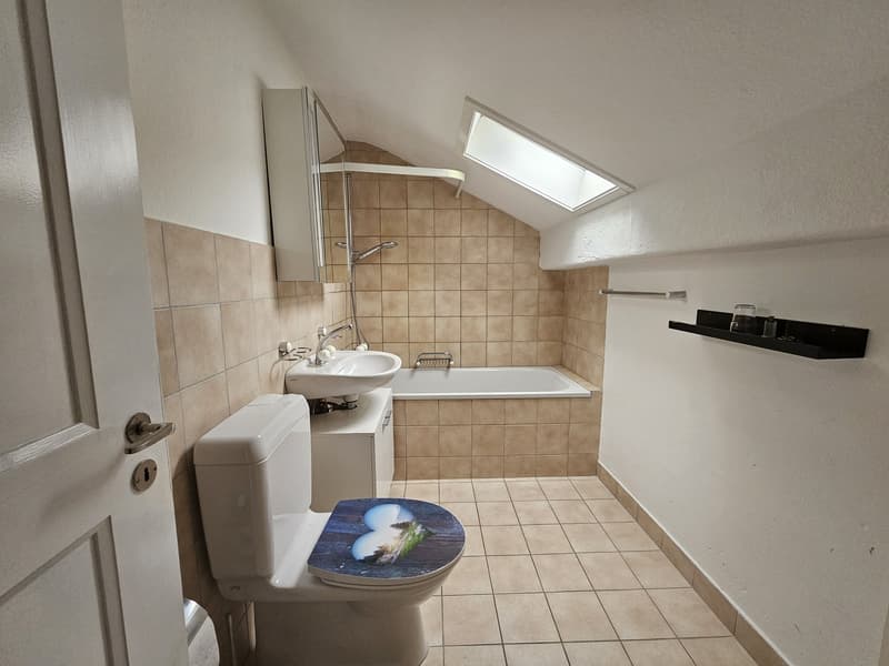 2 ½ room attic apartment, 4437 Waldenburg (7)