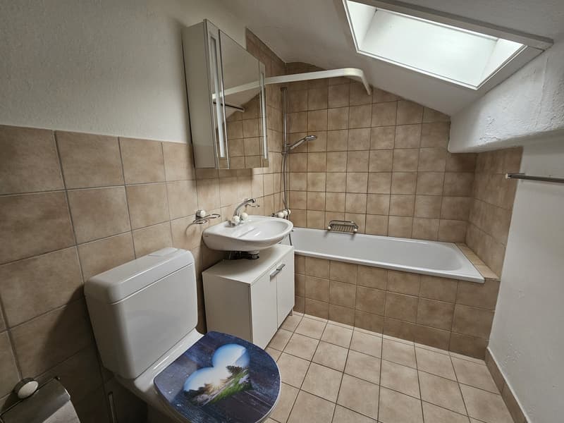 2 ½ room attic apartment, 4437 Waldenburg (11)