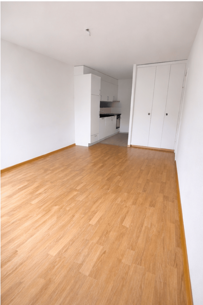 Appartement charmant de 3.0 pièces (2)