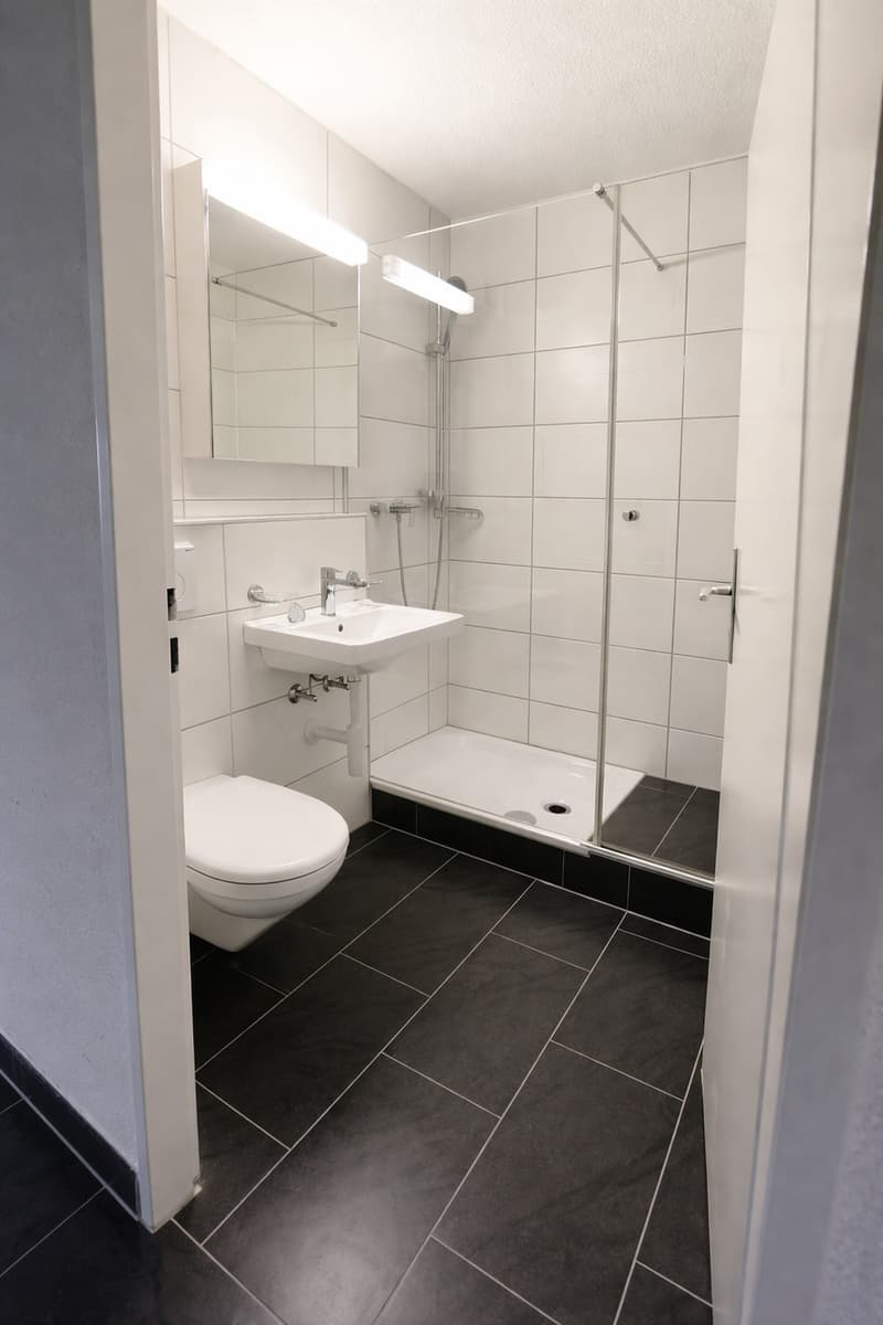 Appartement charmant de 3.0 pièces (7)