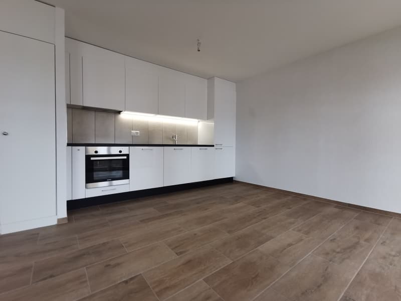 1 ½ Zimmer-Wohnung, 2300 La Chaux de Fonds (3)