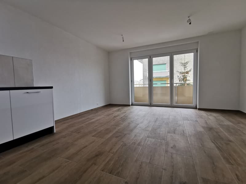 1 ½ Zimmer-Wohnung, 2300 La Chaux de Fonds (4)