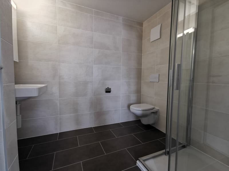 1 ½ Zimmer-Wohnung, 2300 La Chaux de Fonds (5)