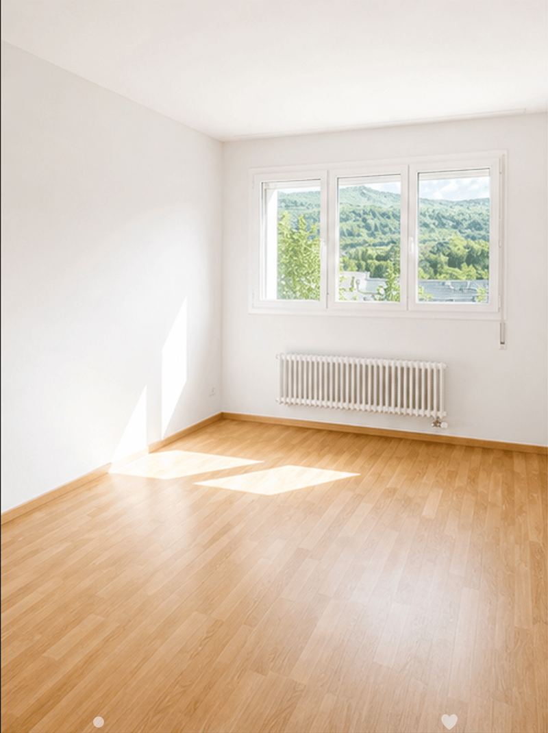 Angheneme 3.0 Zimmer Wohnung (3)