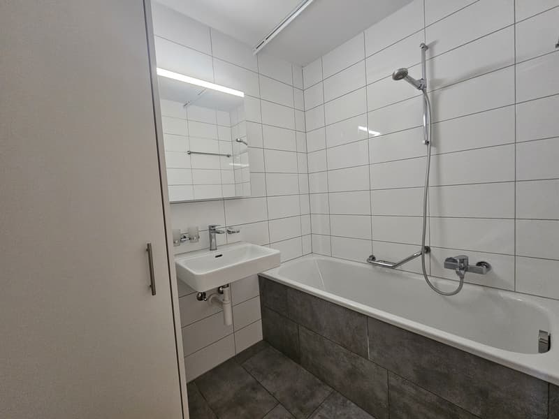 2 ½ Zimmer-Wohnung, 1717 St. Ursen (6)