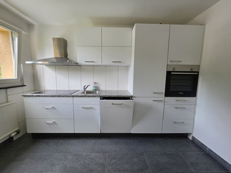 4 Zimmer-Wohnung, 4436 Oberdorf (1)
