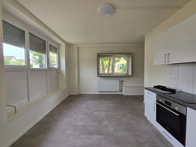 2 Zimmer-Studio, 5200 Brugg (1)