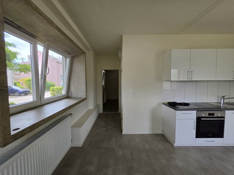 2 Zimmer-Studio, 5200 Brugg (7)