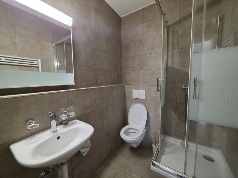 2 Zimmer-Studio, 5200 Brugg (6)