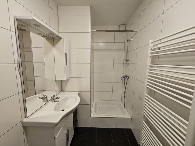 3 ½ Zimmer-Wohnung, 2540 Grenchen (8)