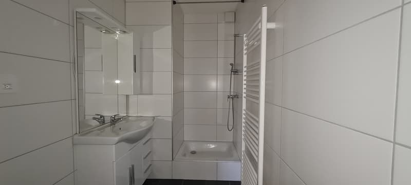 3 ½ Zimmer-Wohnung, 2540 Grenchen (7)