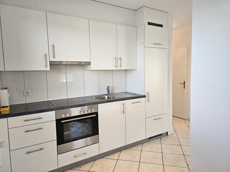 Charmante 2.5-Zimmer-Dachwohnung mit großer Terrasse (2)