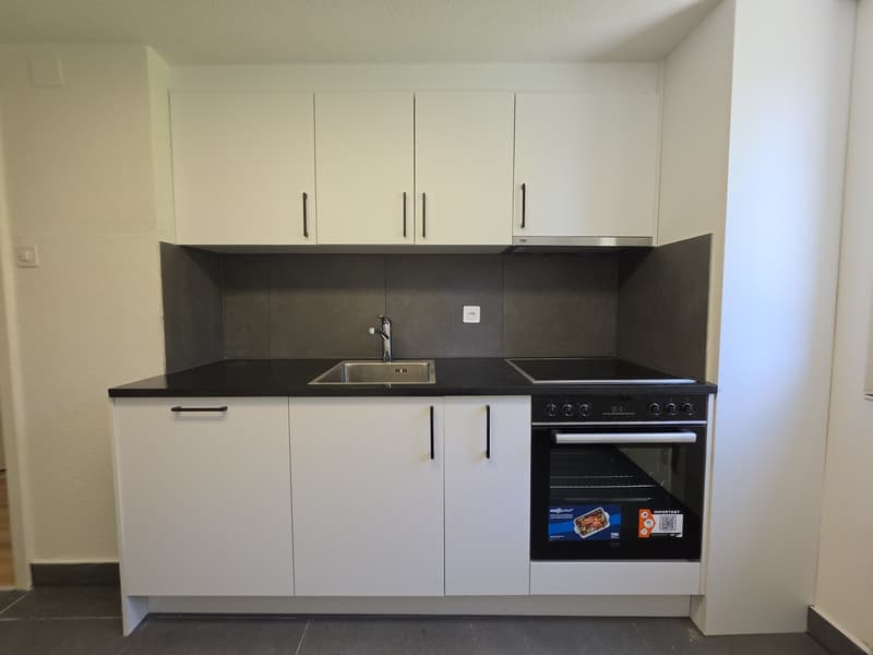 3 Zimmer-Wohnung, 9100 Herisau (3)