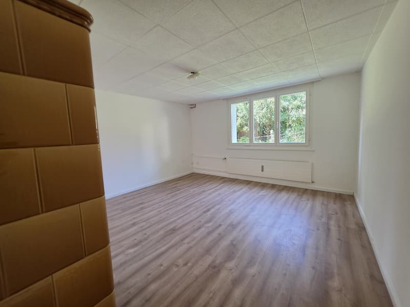 3 Zimmer-Wohnung, 9100 Herisau (7)