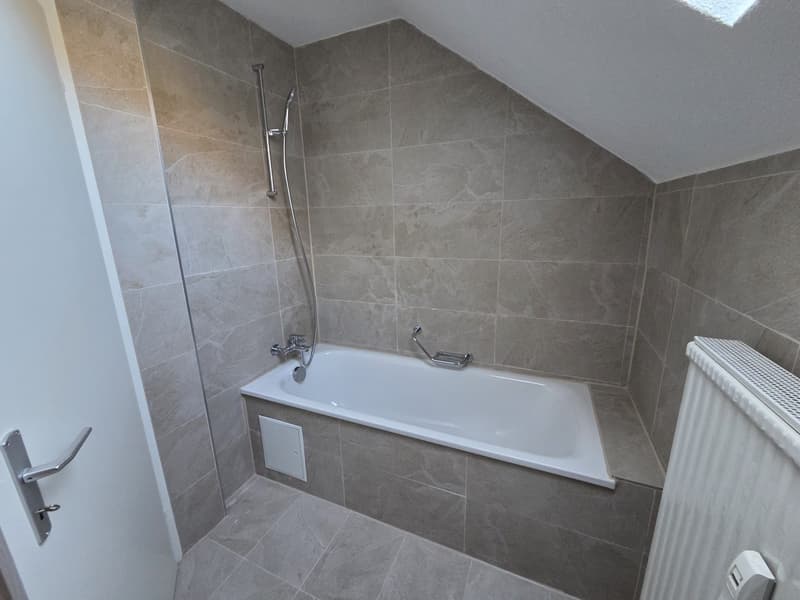 1 Zimmer-Attikawohnung, 4436 Oberdorf (5)
