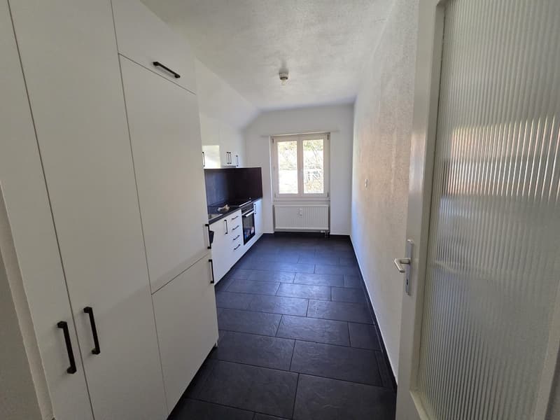 1 Zimmer-Attikawohnung, 4436 Oberdorf (4)