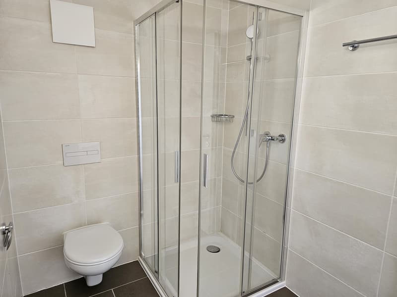 2 ½ Zimmer-Wohnung, 2300 La Chaux de Fonds (6)